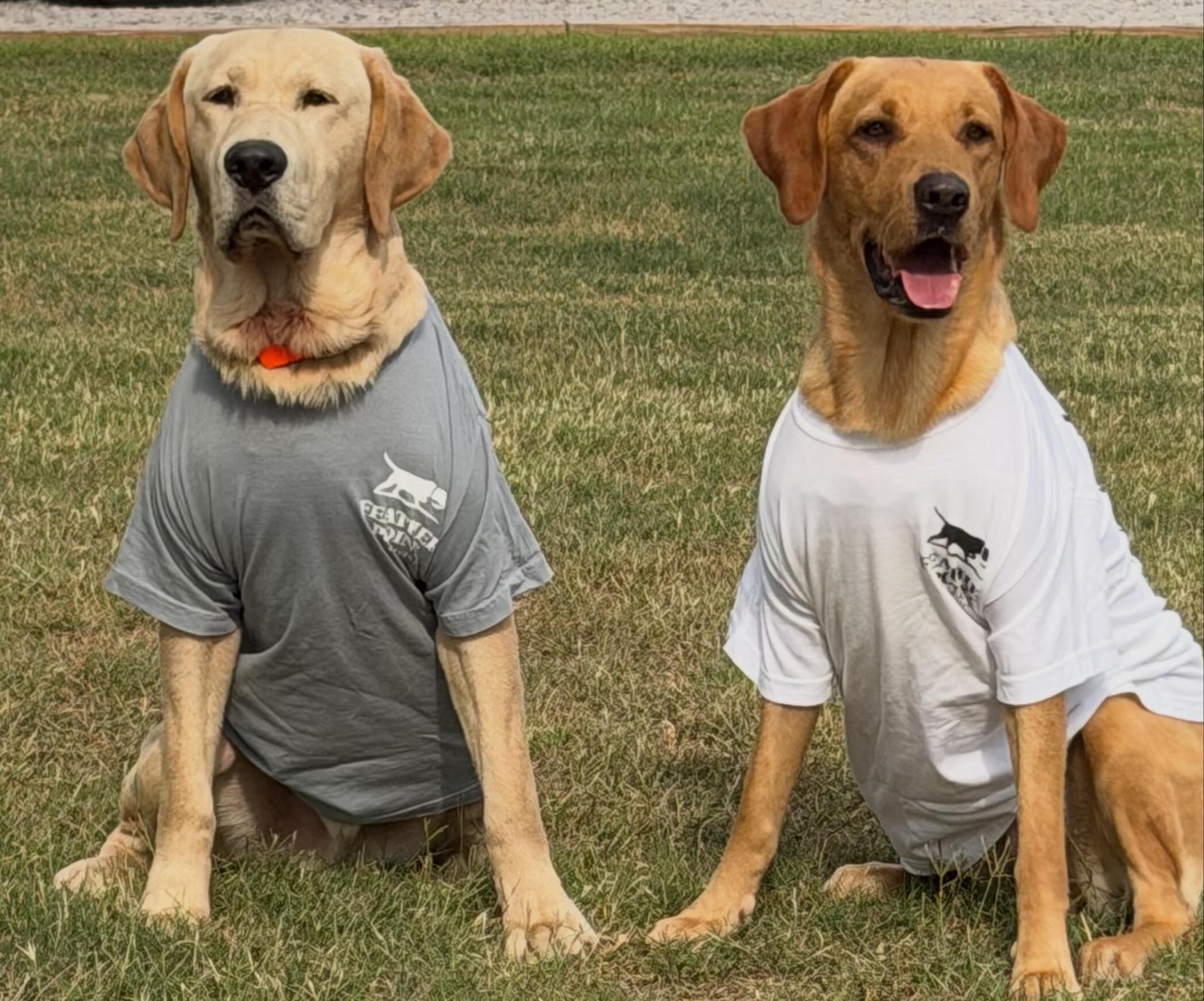 Youth Comfort Colors T-shirt
