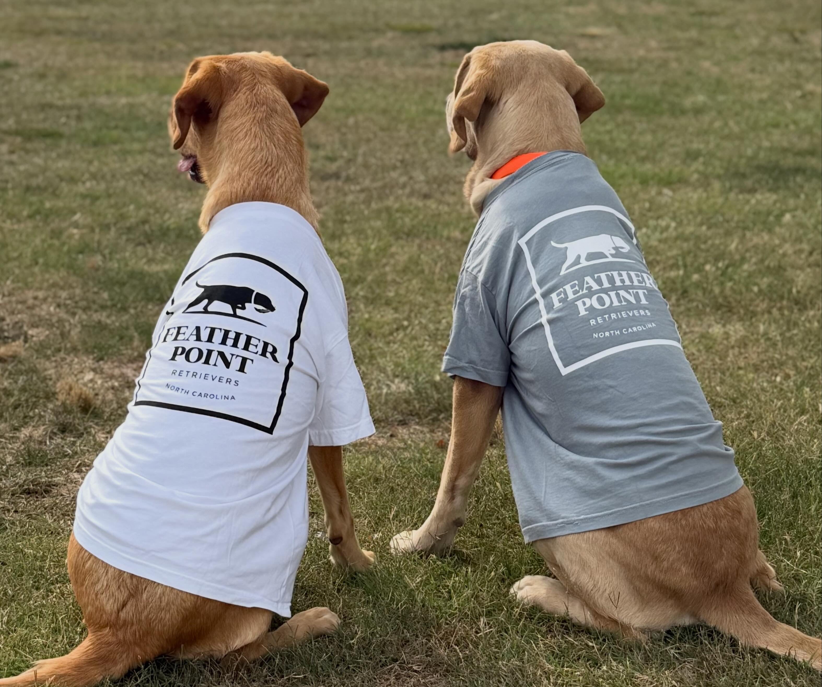 Youth Comfort Colors T-shirt